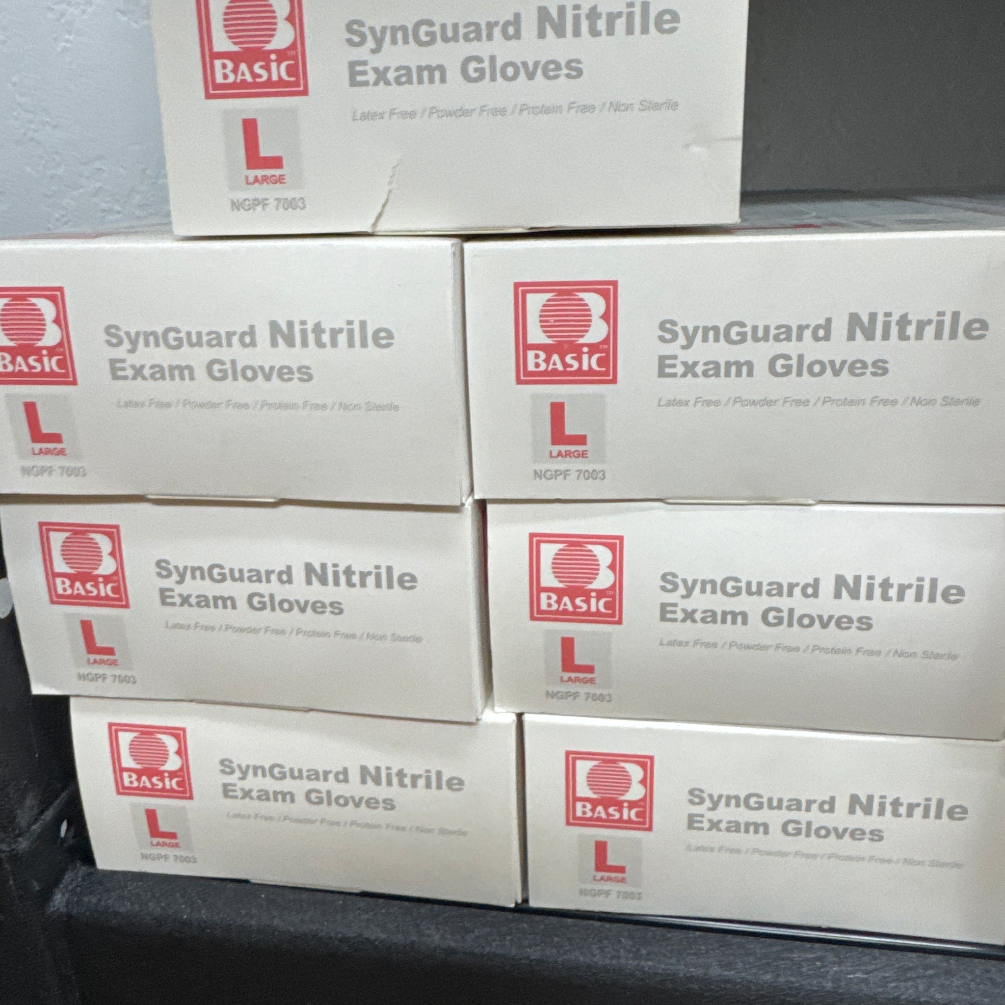 Large Nitrile Gloves box 100ct