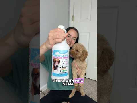 Dr. Willy’s Pet Stain Away Quart