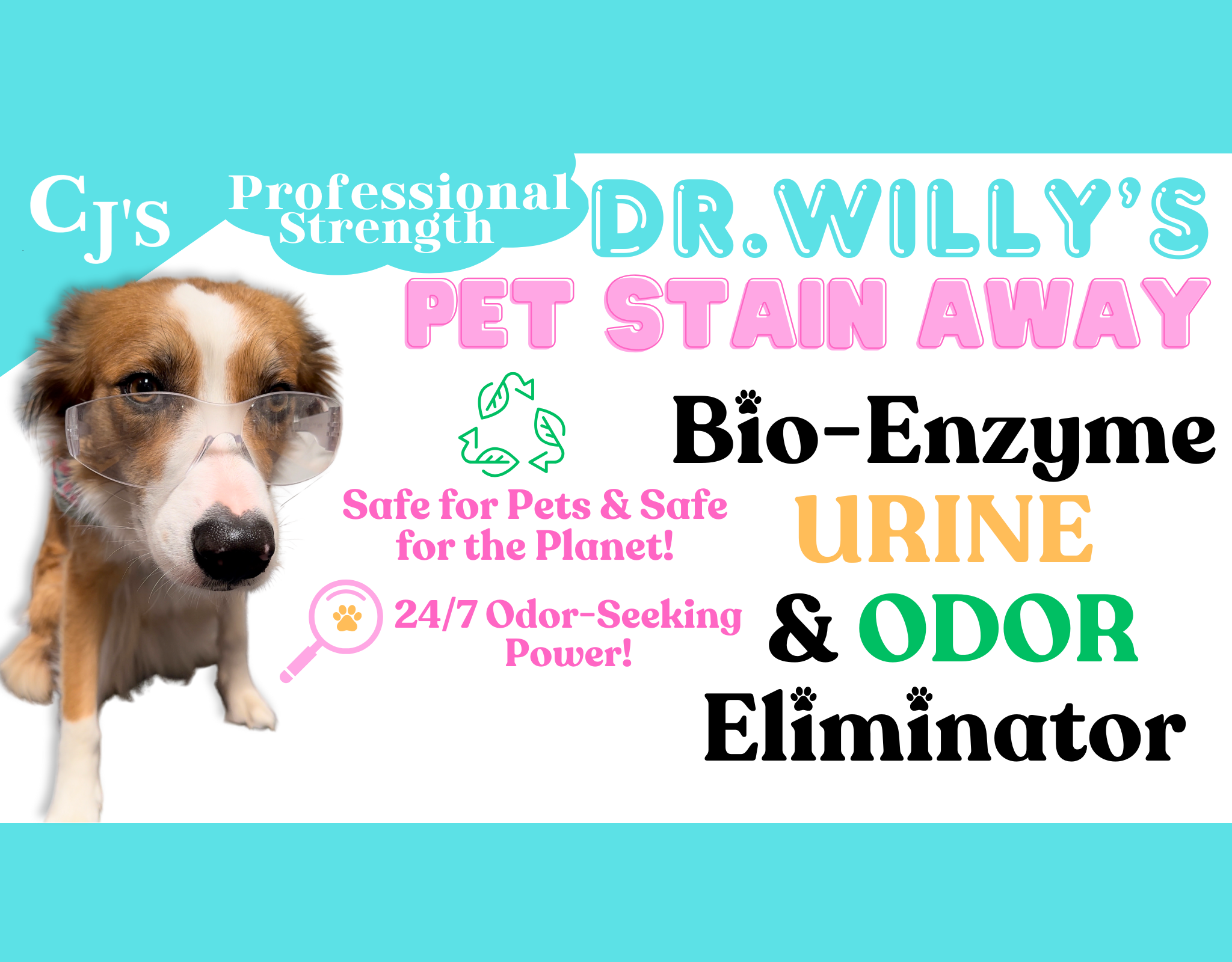 website_cover_willy_79a572cb-9e2f-4f26-90ef-c95a49114aac.png